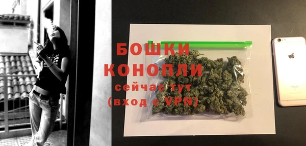 ПСИЛОЦИБИНОВЫЕ ГРИБЫ Волосово