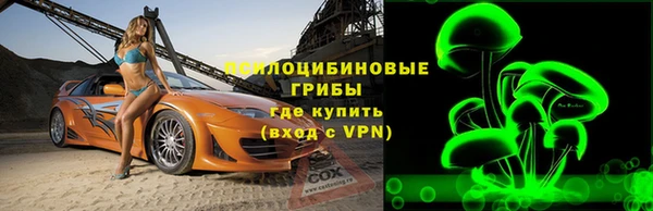ПСИЛОЦИБИНОВЫЕ ГРИБЫ Волосово