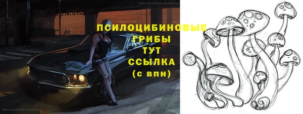 таблы Вяземский