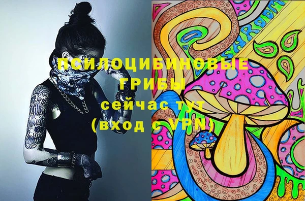 таблы Вяземский
