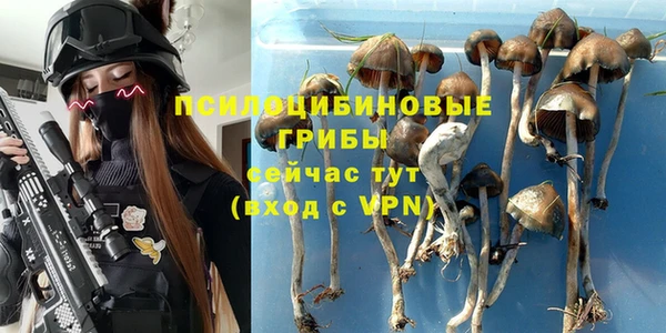ПСИЛОЦИБИНОВЫЕ ГРИБЫ Волосово