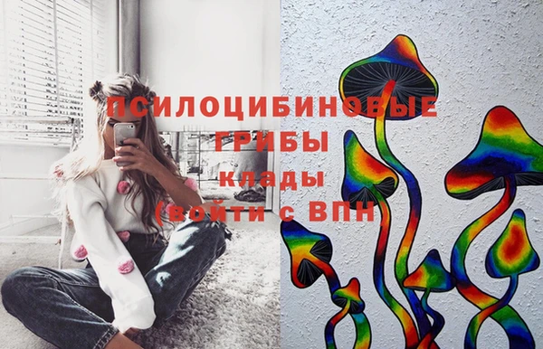 твердый Вязьма