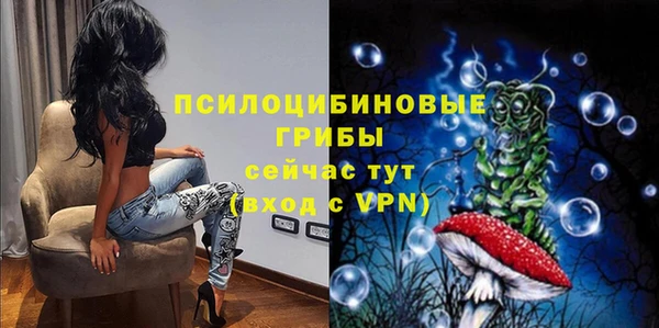 индика Володарск
