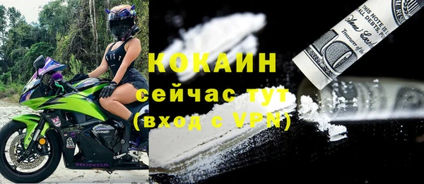 индика Володарск