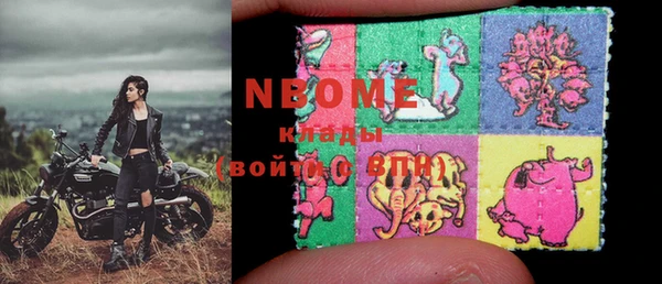 индика Володарск