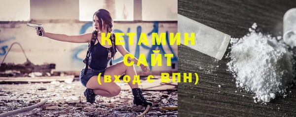 индика Володарск