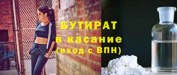 индика Володарск